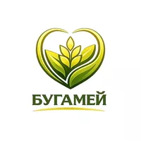 Логотип компании