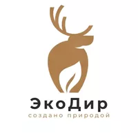 логотип Носкин Анатолий Владиславович